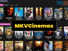 India: MKVCinemas domains and drive-cloning tool dismantled at request by ACE
