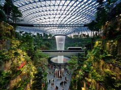AVIA 2026 consumer survey: In APAC, piracy rates decline but cyber-risks are still underestimated